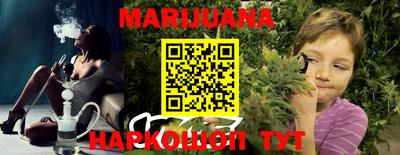 индика Лесосибирск