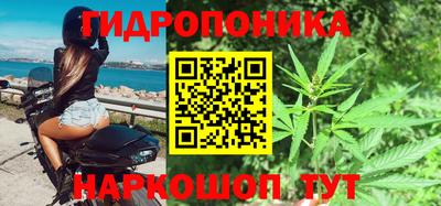 шишки Ликино-Дулёво