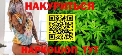 индика Лесосибирск
