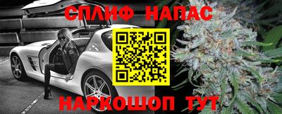 индика Лесосибирск