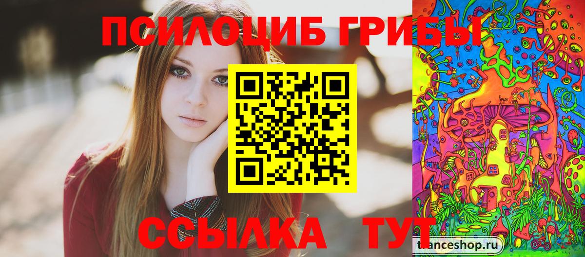 Гусев  Галлюциногенные грибы MAGIC MUSHROOMS  Вход с VPN 