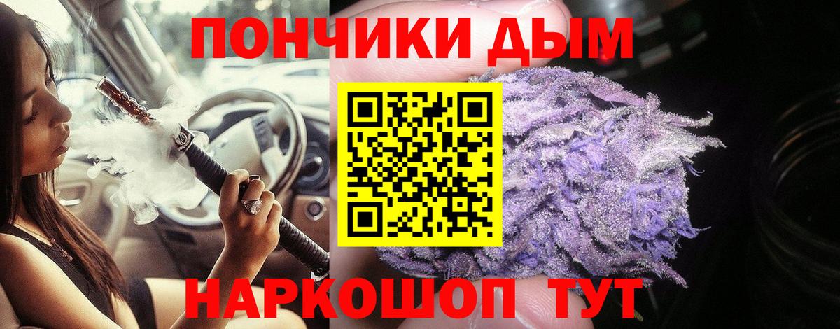 Гусев  Бошки марихуана план  Вход с VPN  Бошки марихуана сатива 
